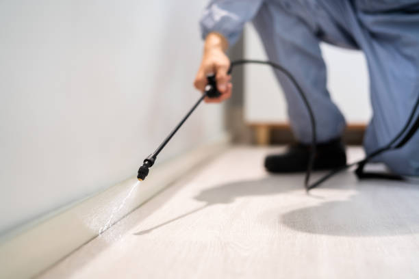 Licensed Pest Control service in Morristown, NJ - Show Me Pest Control