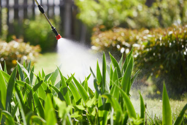 24/7 Emergency Mosquito Control experts in Morristown, NJ