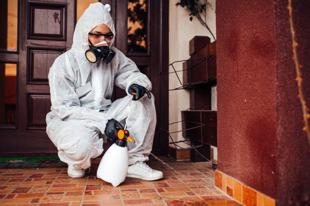 Reliable Mosquito Control contractor in Morristown, NJ by Show Me Pest Control