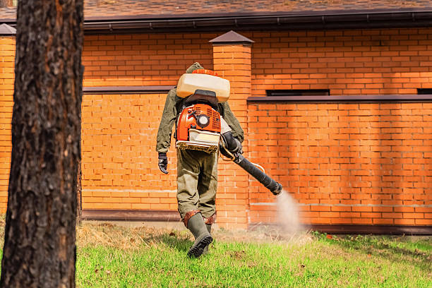 Top rated local Mosquito Control specialists in Morristown, NJ